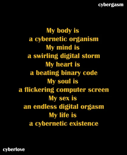 cybergasm 51