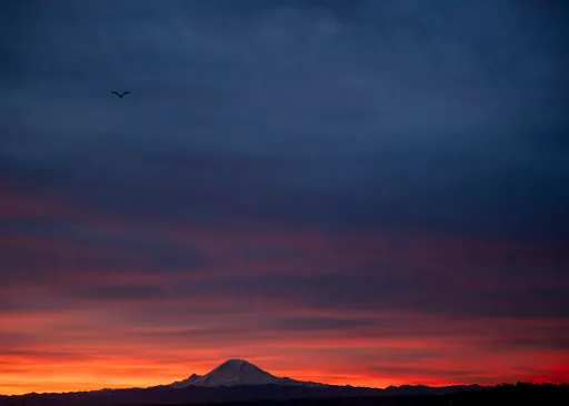 solo flight
