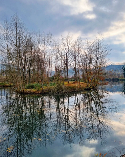 the forgotten shadow